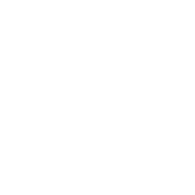 (c) Basingstokefestival.co.uk
