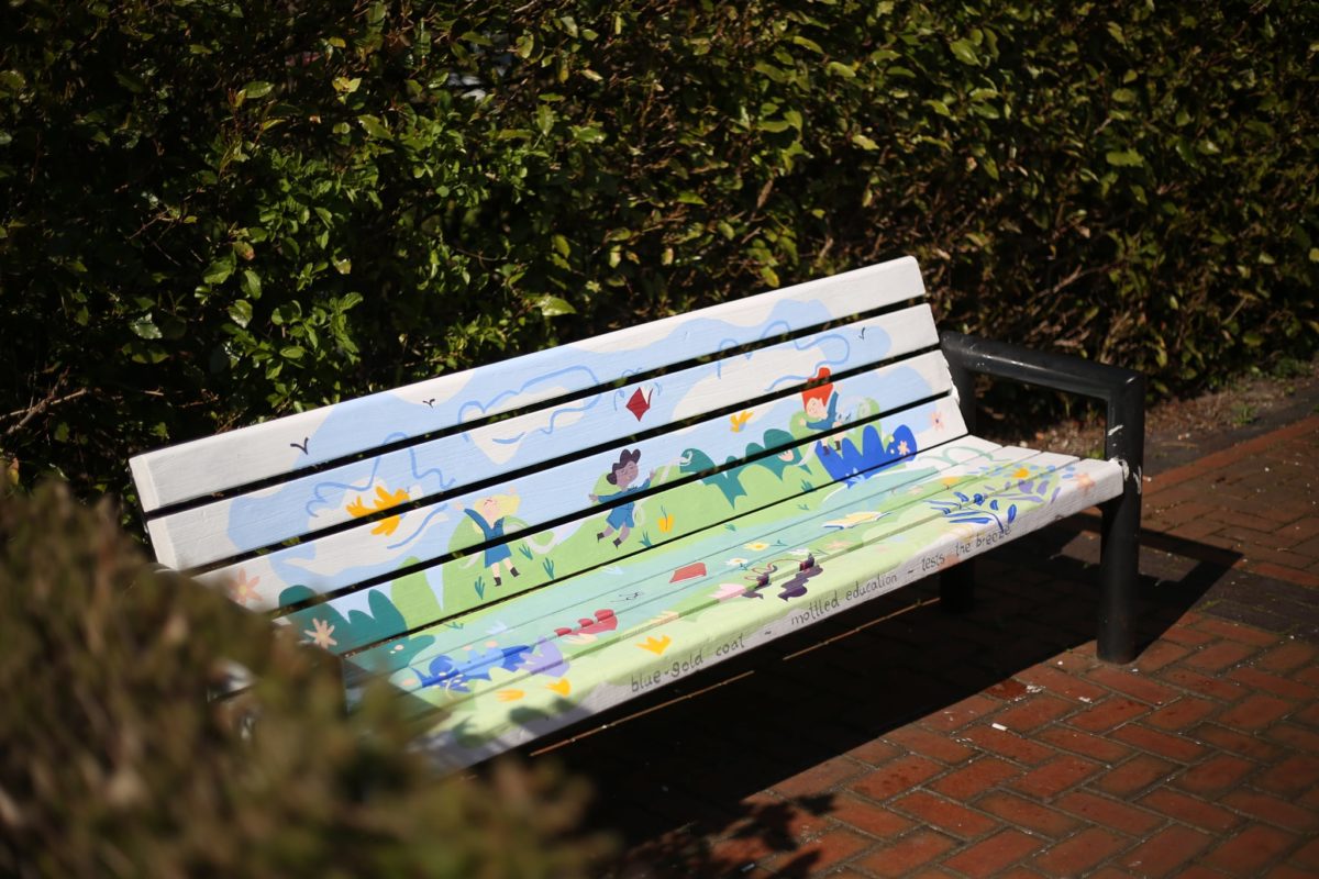 Fátima Pantoja benches at Cross Street