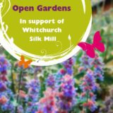 https://www.basingstokefestival.co.uk/wp-content/uploads/2023/06/Open-gardens-160x160.jpg
