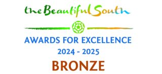 A square logo The Beautiful South Awards Bronze award winner for Basingstoke Festival.
